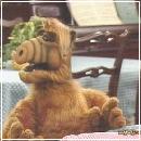 004 (352x288, 18 k�...)