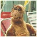 007 (352x288, 18 k�...)