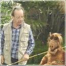 009 (352x288, 22 k�...)