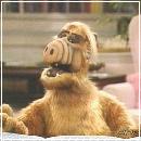 01(7) (352x288, 17 k�...)