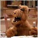 01 (352x288, 16 k�...)