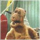 010 (352x288, 17 k�...)