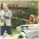 011 (352x288, 22 k�...)