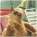 012 (352x288, 18 k�...)