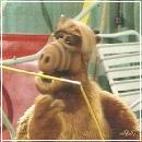 013 (352x288, 18 k�...)