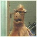 017 (352x288, 14 k�...)