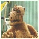 019 (352x288, 16 k�...)