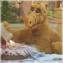 02(3) (352x288, 16 k�...)