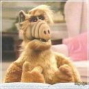 02(8) (352x288, 17 k�...)