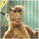 020 (352x288, 17 k�...)