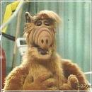 022 (352x288, 17 k�...)