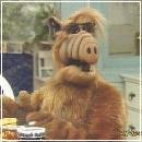 026 (352x288, 17 k�...)