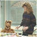 027 (352x288, 19 k�...)