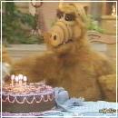 03(2) (352x288, 16 k�...)