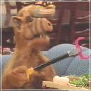 03(4) (352x288, 16 k�...)