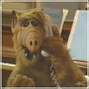 05(5) (352x288, 14 k�...)