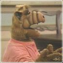 05(7) (352x288, 14 k�...)