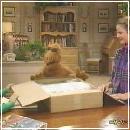 06(4) (352x288, 18 k�...)