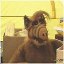 063 (352x288, 14 k�...)