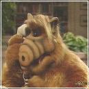 071 (352x288, 15 k�...)