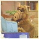 08(3) (352x288, 14 k�...)