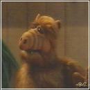 08(7) (352x288, 10 k�...)