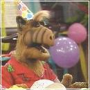 082 (352x288, 17 k�...)