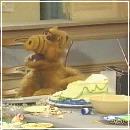 09(2) (352x288, 17 k�...)