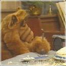 10(3) (352x288, 16 k�...)