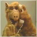 10(7) (352x288, 12 k�...)