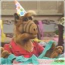 101 (352x288, 18 k�...)