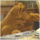 11(3) (352x288, 15 k�...)