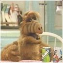 11(5) (352x288, 16 k�...)