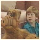 12(2) (320x240, 11 k�...)