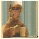 12(6) (352x288, 13 k�...)