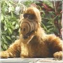 12(9) (352x288, 22 k�...)