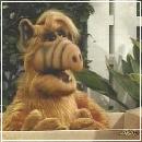 126 (352x288, 17 k�...)