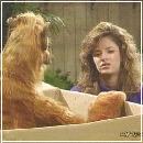 127 (352x288, 17 k�...)