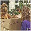 128 (352x288, 19 k�...)