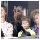 13(1) (280x210, 11 k�...)