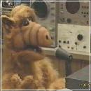 13(2) (320x240, 12 k�...)