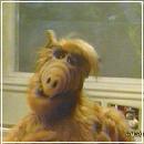 13 (704x576, 54 k�...)