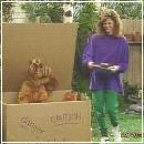 131 (352x288, 19 k�...)