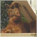 132 (352x288, 15 k�...)