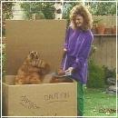 133 (352x288, 19 k�...)