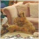 14(3) (352x288, 17 k�...)