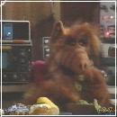 14(6) (352x288, 14 k�...)