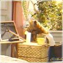 14 (704x576, 52 k�...)