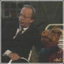 142 (352x288, 13 k�...)