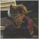 143 (352x288, 13 k�...)